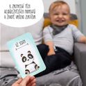 Prckův deník a Prckovy milníkové kartičky
